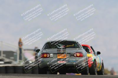 media/Feb-17-2024-Nasa AZ (Sat) [[ca3372609e]]/4-Race Group A/Session 2 Qualify (Turn 16)/